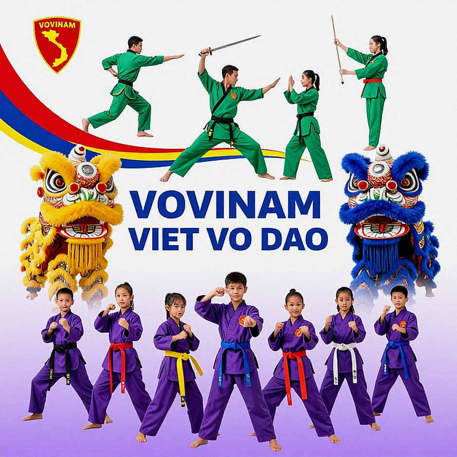 Wrong Classification, Failed Analysis: The Data Gap in Vietnamese Martial Arts